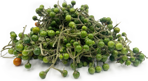Dried Bitter Eggplant