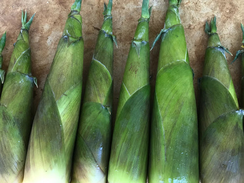 Ground Fresh Bamboo Shoot