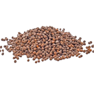 Perilla Seeds