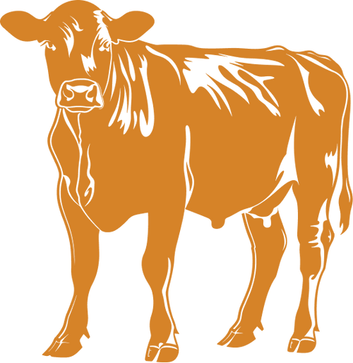 Beef