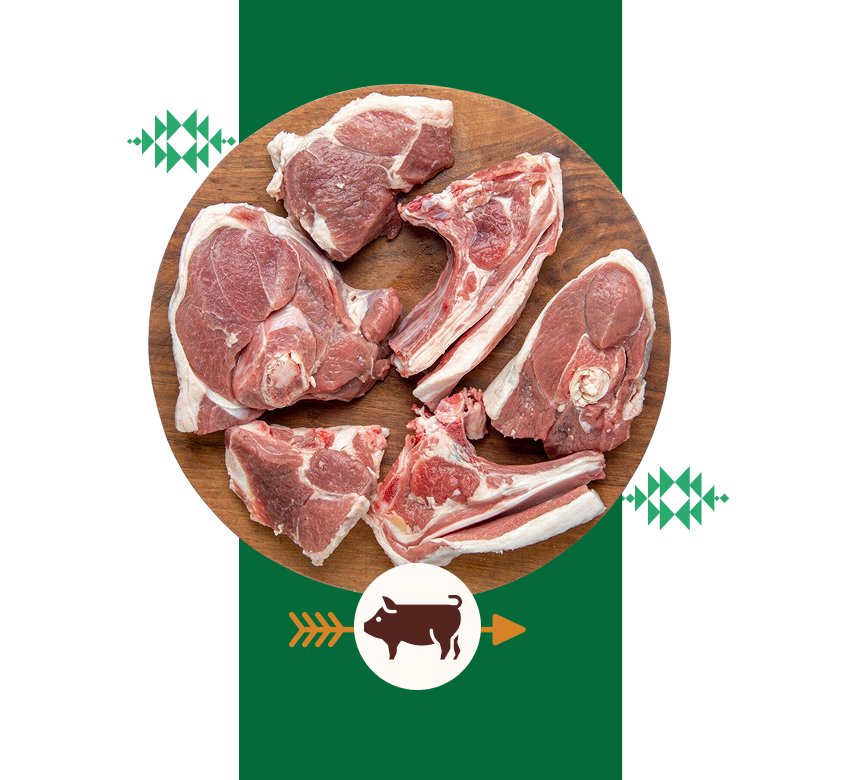 Pork Picnic Shoulder
