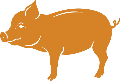 Pork