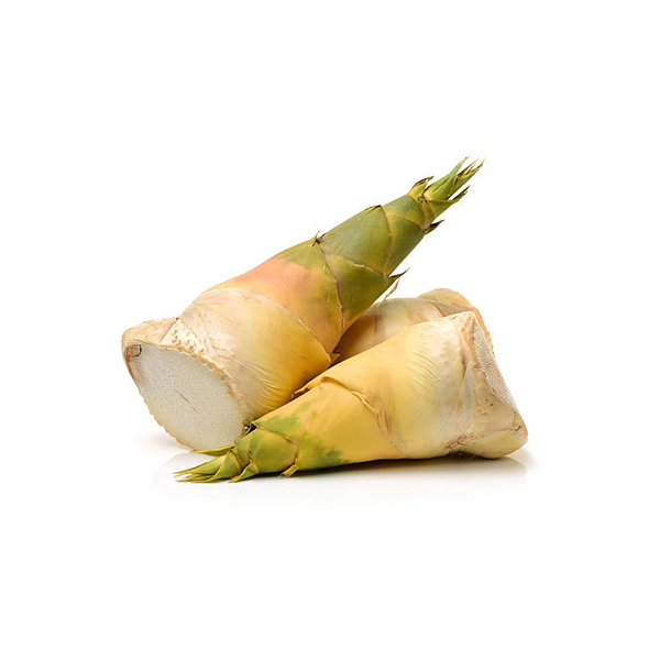 Ground Fresh Bamboo Shoot