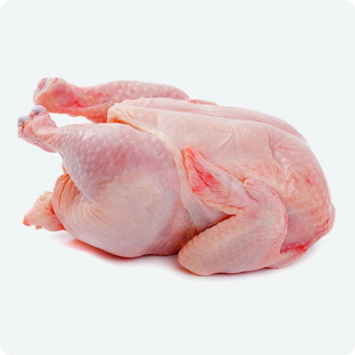 Broiler Chicken (dressed)