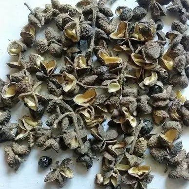 Black Pepper Seeds (Mechinga)